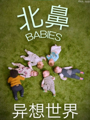 北鼻的异想世界