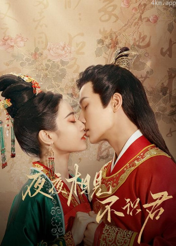 夜夜相见不识君