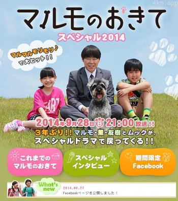 高护木的规矩 SP2014