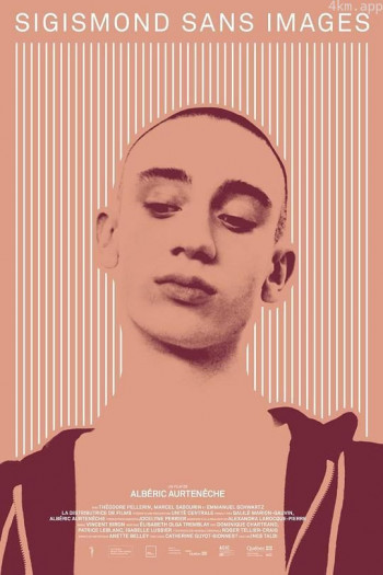 没有图像的西吉斯蒙