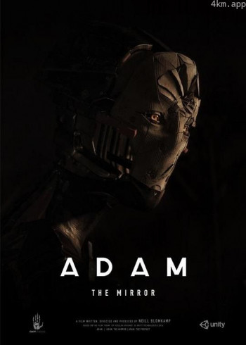 亚当：镜子