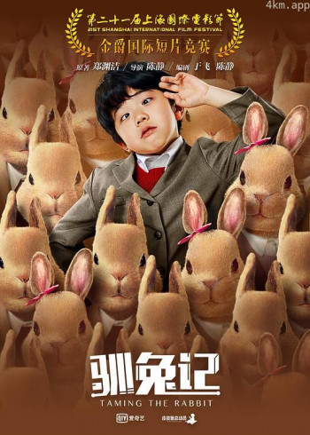 驯兔记