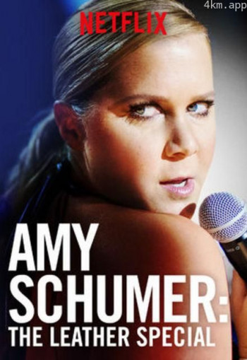 艾米·舒默 皮革特辑