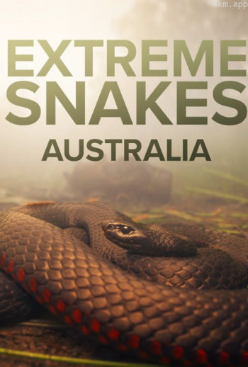 疯狂的蛇中文版