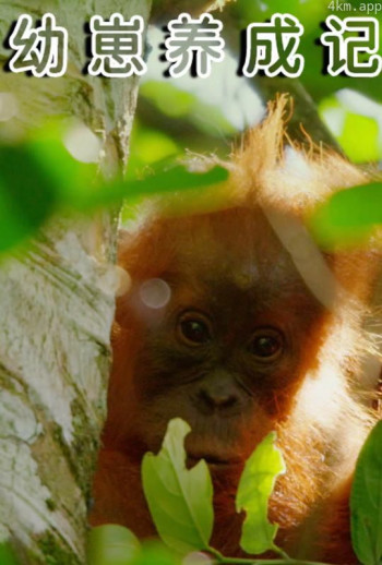 幼崽养成记普通话版