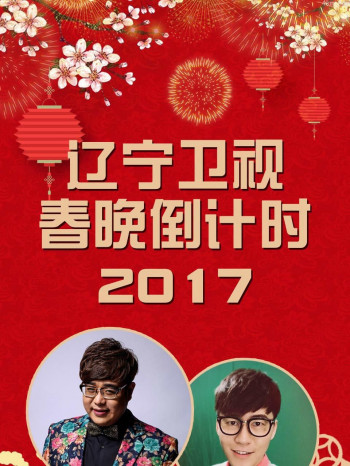 辽宁卫视春晚倒计时 2017