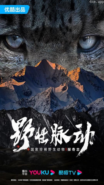 野性脉动 国家珍稀野生动物探奇志