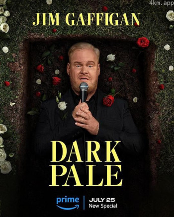 吉姆·加菲根：暗淡