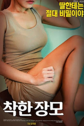 善良的岳母日本版