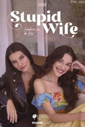 我的笨蛋老婆失忆了 第三季