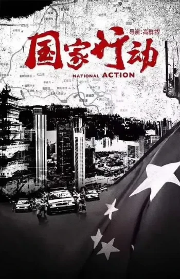 国家行动