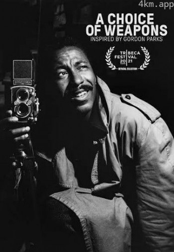 武器选择:灵感来自戈登·帕克斯