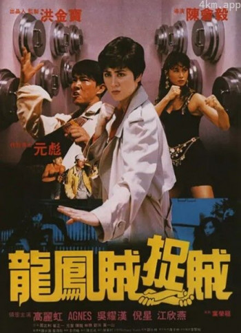 龙凤贼捉贼
