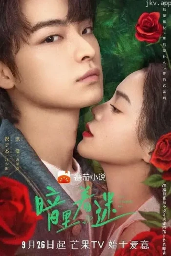 暗里着迷 电影版