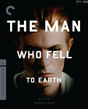 坠入地球的男人