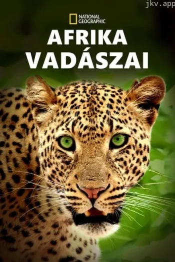 非洲猎手们 第一季