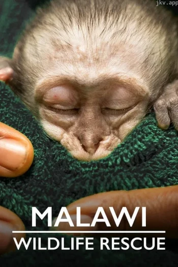 马拉维野生动物救援