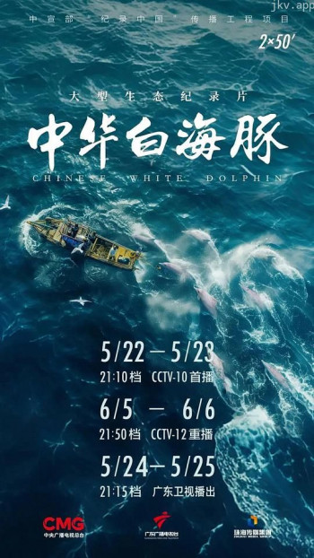 中华白海豚
