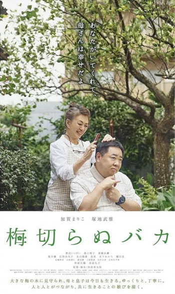 不砍梅树的傻瓜