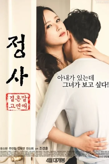 情事：只恋爱不结婚