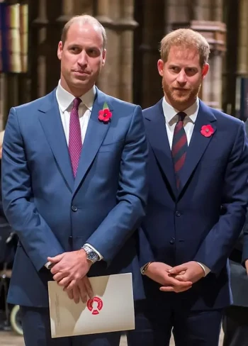 王子与媒体 第一季