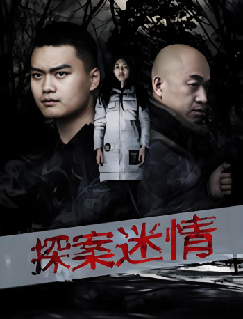 探案迷情