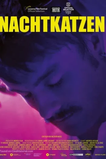 晚上所有的猫都是黑的