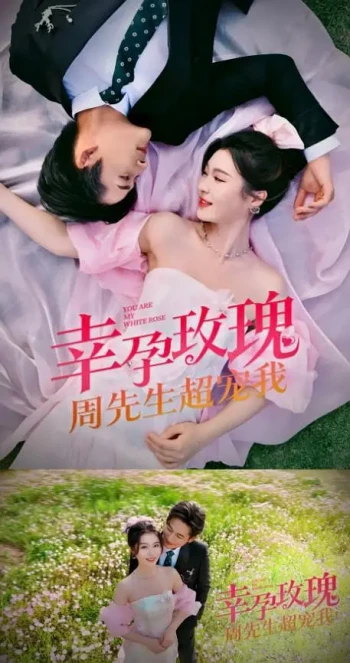 幸运玫瑰,周先生超宠我