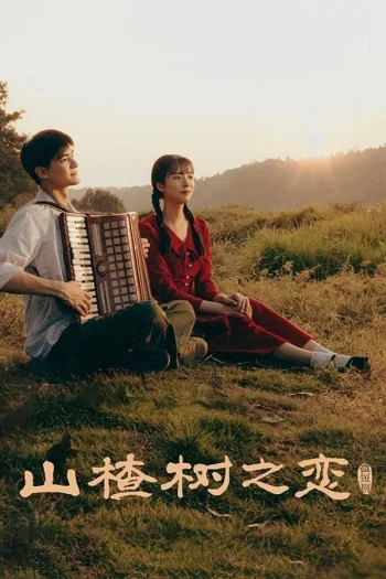 山楂树之恋2025