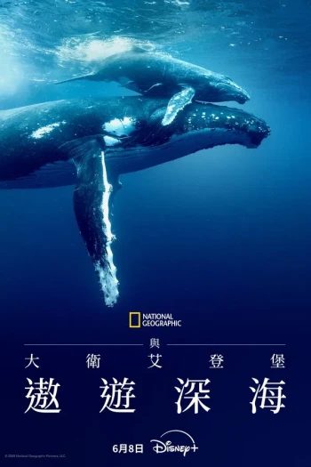 大卫·爱登堡:海洋