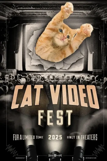 2025年猫视频节