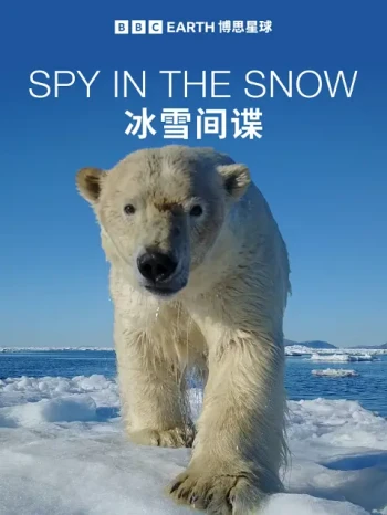 冰雪间谍