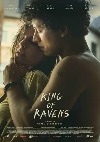 城市上空的乌鸦