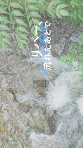 河流啊，流去何方