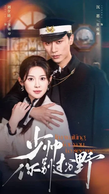 少帅你别过分野