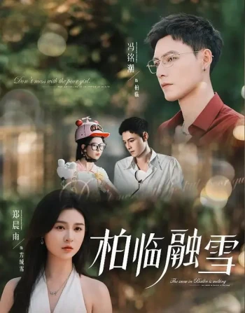 柏临融雪