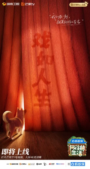 向往的生活 第八季