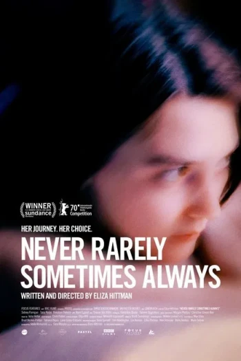 从不，很少，有时，总是