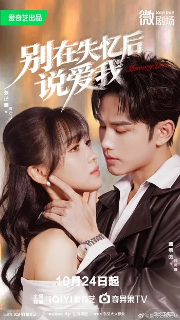 别在失忆后说爱我