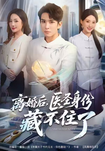 离婚后,医圣身份藏不住了