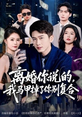 离婚你说的,我马甲掉了你别复合